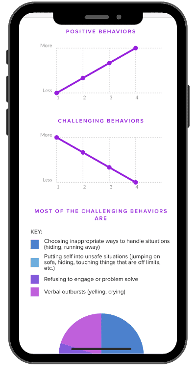 Example Reflectable Data