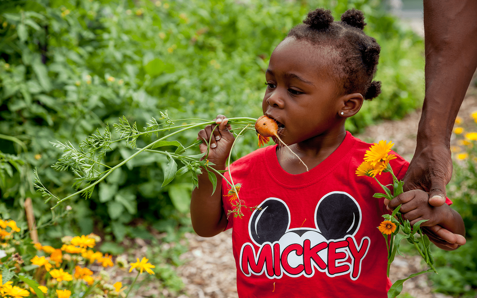 Girl biting radish