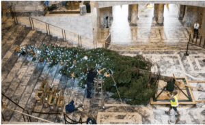 Picture credit: AWB Preparations underway to raise the 2017 holiday tree. Picture credit: AWB