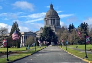 Flags lining the street on the Capitol campus