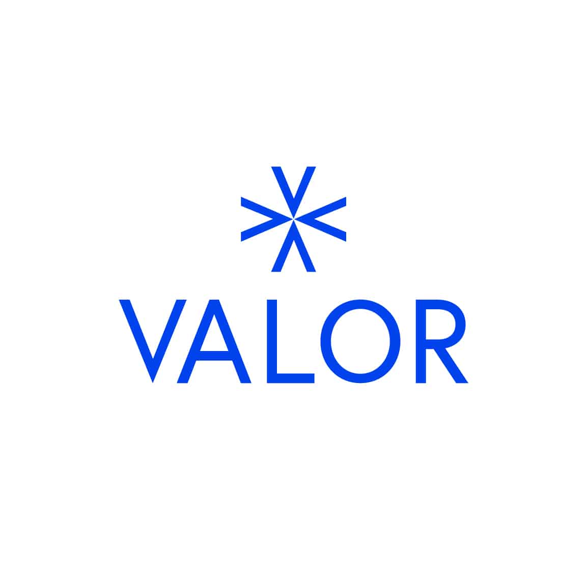 Valor logo