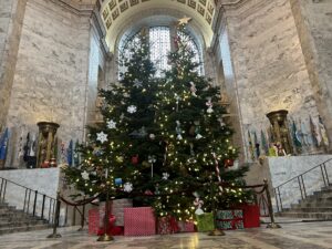 Washington Christmas Tree Display 2023