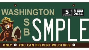 Green and white license plate with image of Smokey the Bear and quote "only you can prevent wildfires"