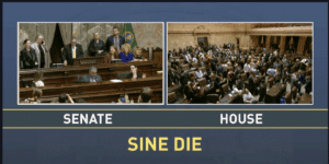 Screenshot of TVW stream showing the legislature at Sine Die, the adjournment of the 2025 legislative session. There are two streams shown, one on the left for the State Senate, and one on the right for the State House, with the words "Sine Die" below in yellow text.